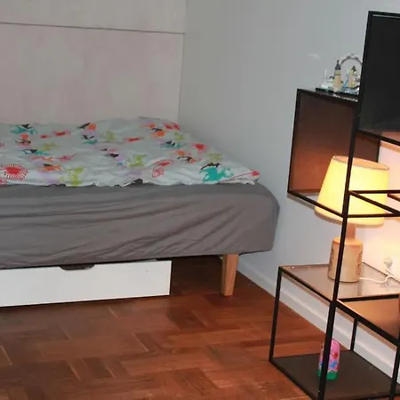 Apartment Anneks Med Eget Toilet Og Bad - Gratis Parkering *