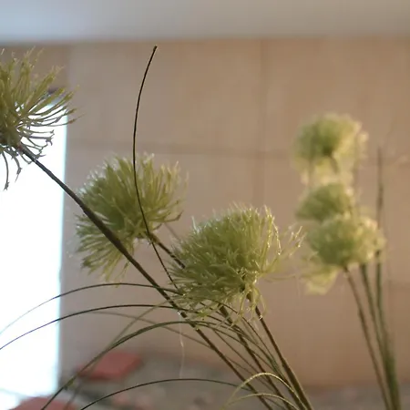 Anneks Med Eget Toilet Og Bad - Gratis Parkering Lejlighed Horsens