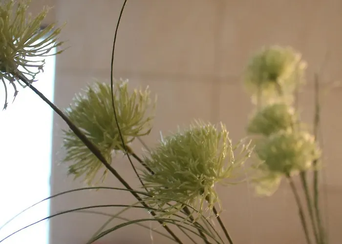 Anneks Med Eget Toilet Og Bad - Gratis Parkering Appartement Horsens